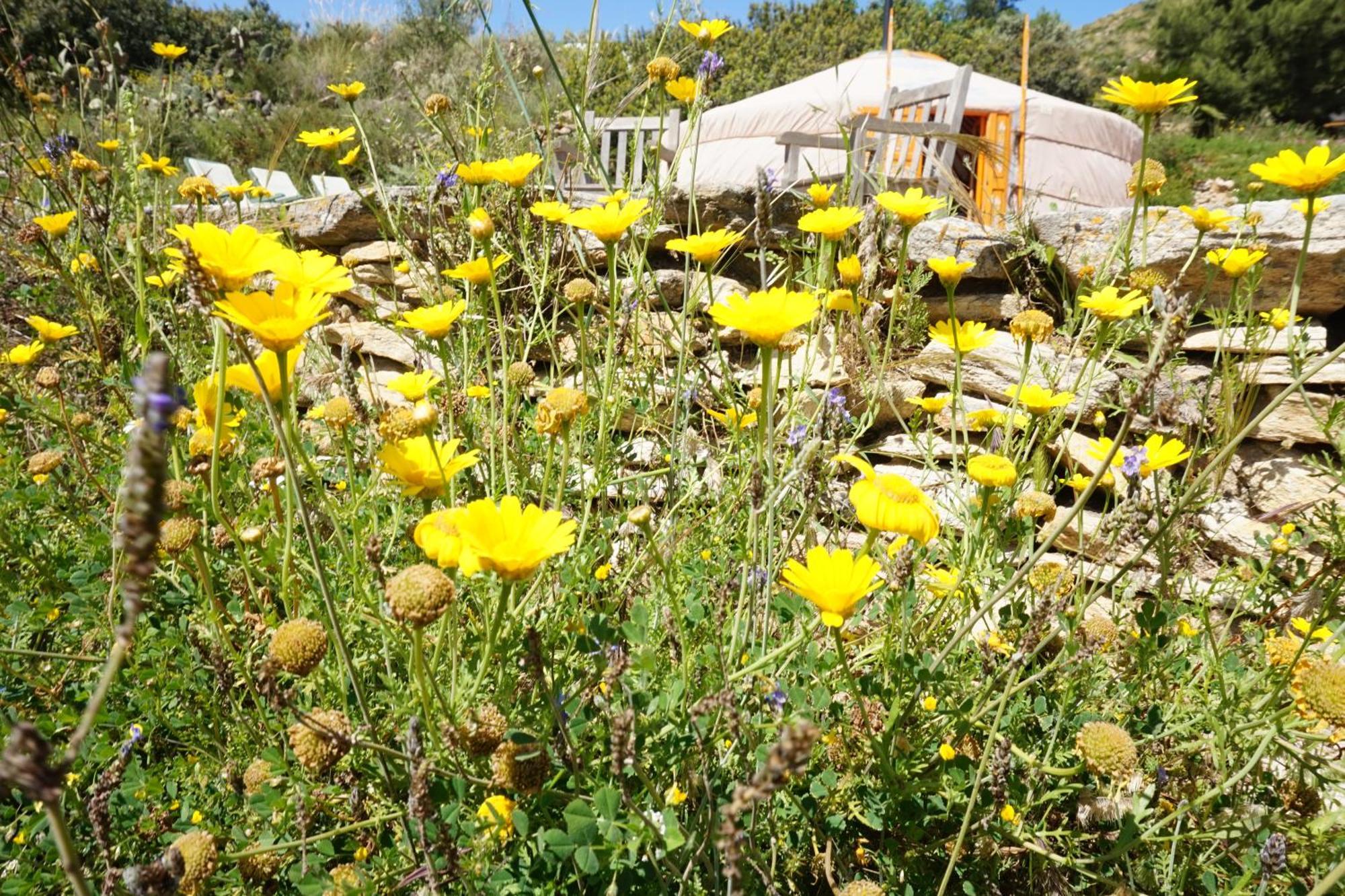 Bed and Breakfast Bed & Breakfast Alegria Y Luna Sorbas Zewnętrze zdjęcie